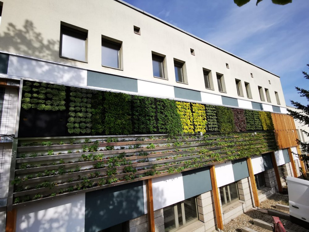 Die Fassade des Camillo Sitte Bautechnikums erstrahlt bereits in sattem Grün.