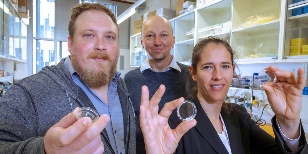 Two researchers from Med Uni Graz and a female researcher from TU Graz hold Petri dishes up to the camera