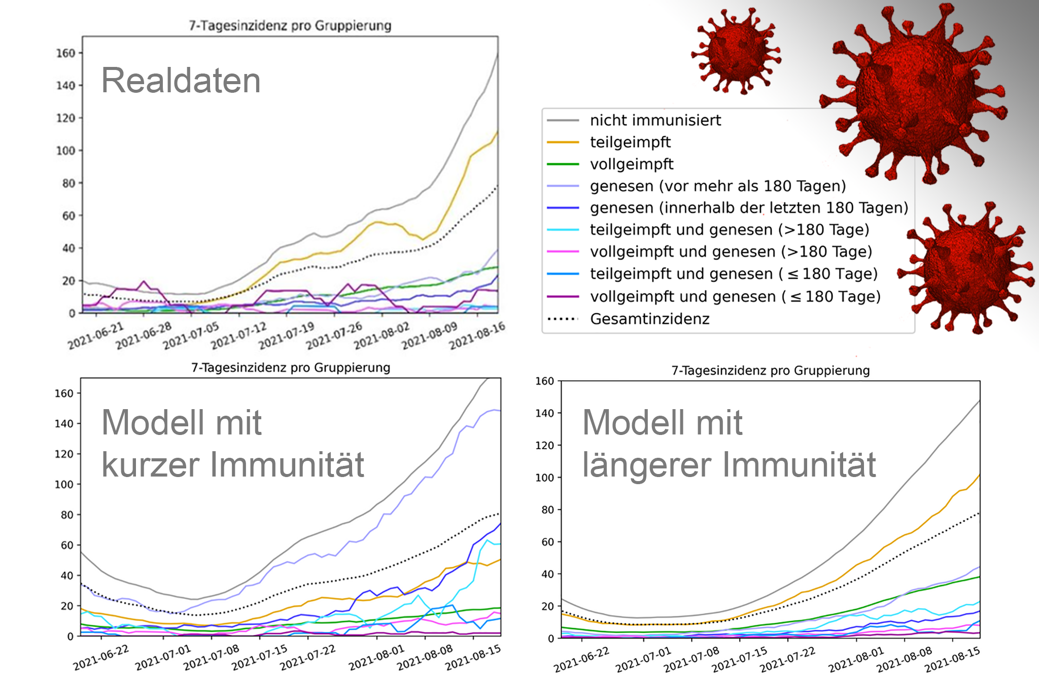 Modellrechnungen im Vergleich zu den Realdaten. Rechts oben 3 stilisierte Corona-Viren.